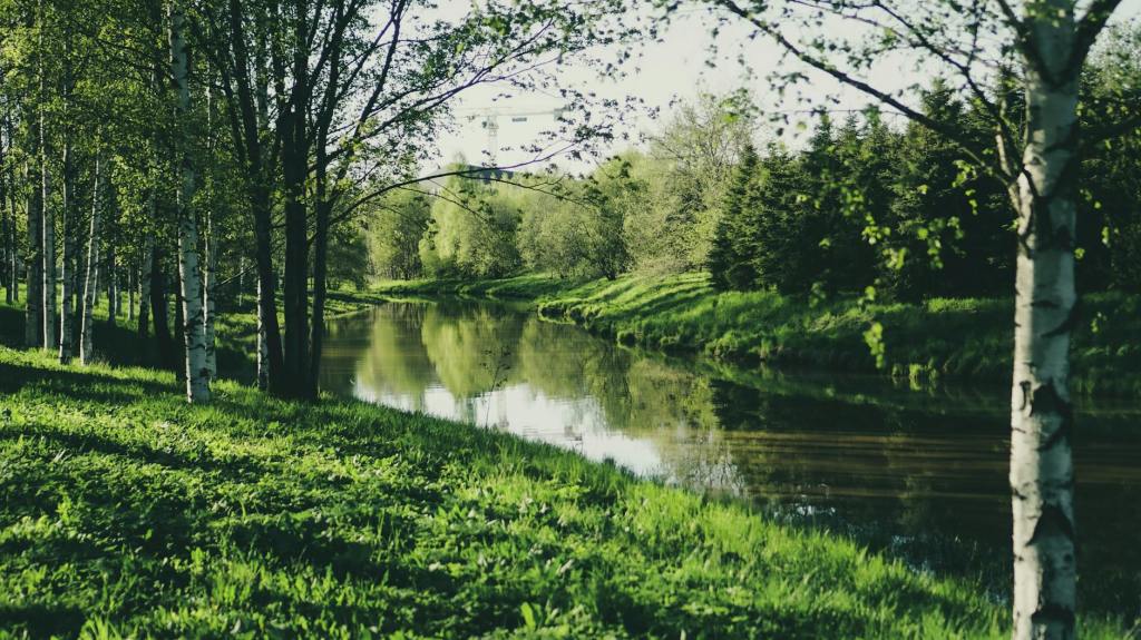 Καλώς ήρθατε στη Nexus Culture of&nbsp;Greece